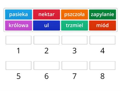 Klasa U W Kolejno Ci Alfabetycznej Materia Y Dydaktyczne