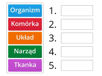 Biologia Poziomy Budowy Organizm W Materia Y Dydaktyczne