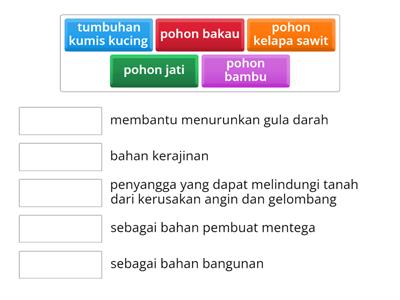 Manfaat Tumbuhan Bagi Manusia Sumber Daya Pengajaran