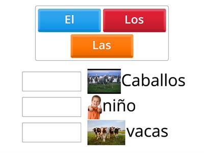 Concordancia De Genero Y Numero Recursos Did Cticos