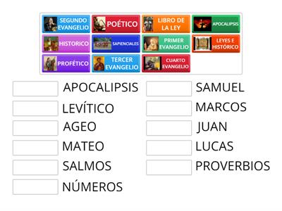 Subdivisiones De Los Libros De La Biblia Recursos Did Cticos