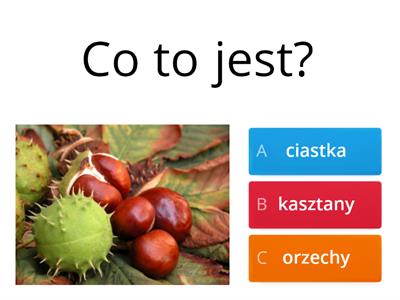 Jesienny Quiz Materia Y Dydaktyczne