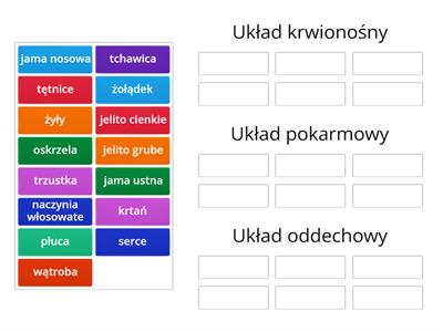 Biologia Układy rozrodczy Materiały dydaktyczne