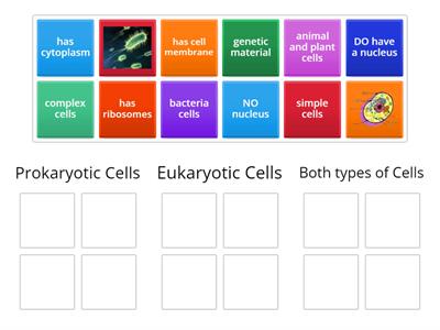 Prokaryotes Vs Eukaryotes Diagrams Teaching Resources