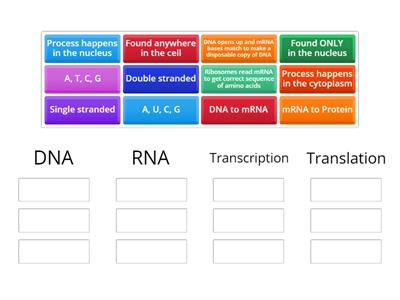 Protein Synthesis Teaching Resources