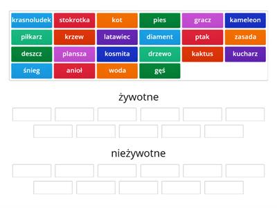 Rzeczowniki własne i pospolite Materiały dydaktyczne