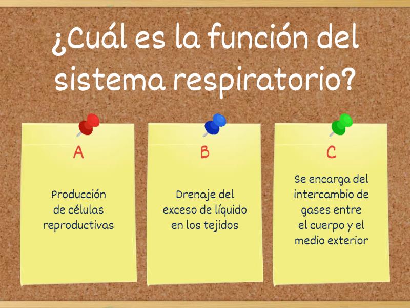 Sistema Respiratorio Quiz