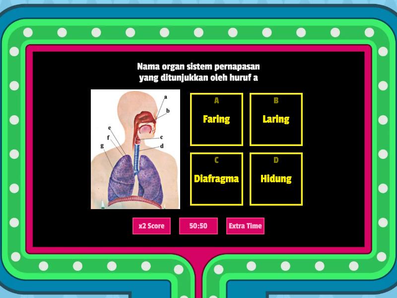 Sistem Pernapasan Manusia Gameshow Quiz