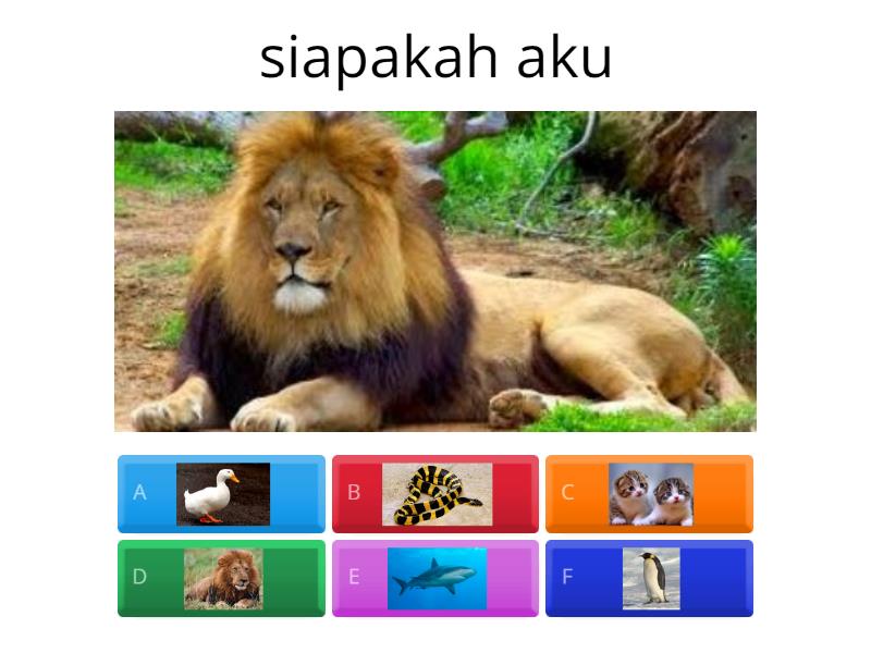 Mengenal Siapa Akau Dan Dimana Aku Quiz