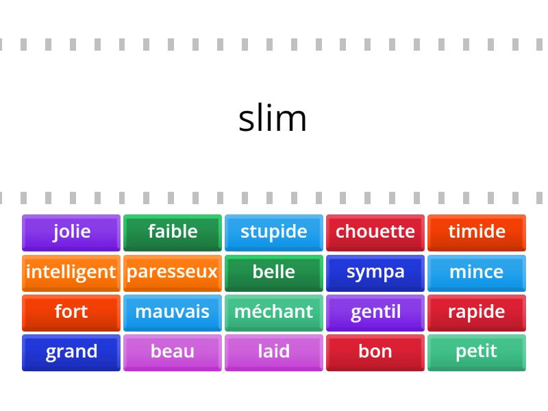 Les adjectifs de personalité et physique Find the match