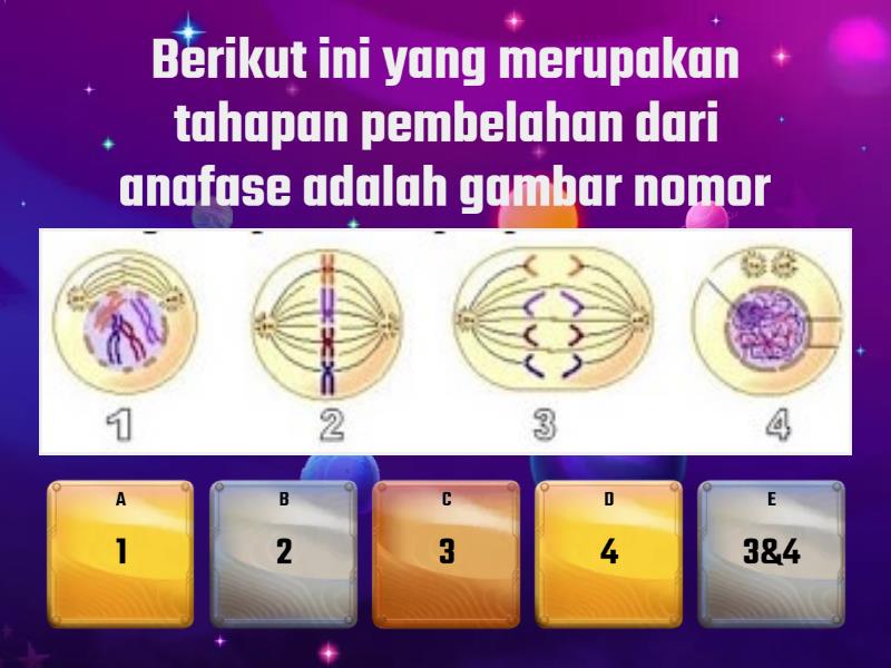 BIOLOGI PEMBELAHAN SEL Quiz