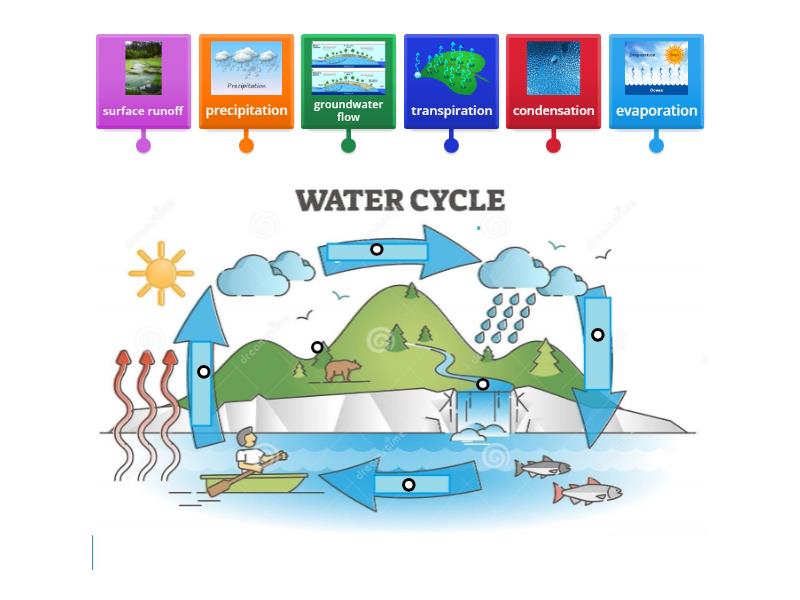 Water Cycle Grade Labelled Diagram