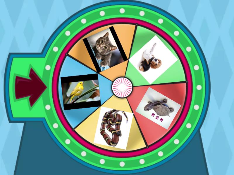 Pets Spin The Wheel