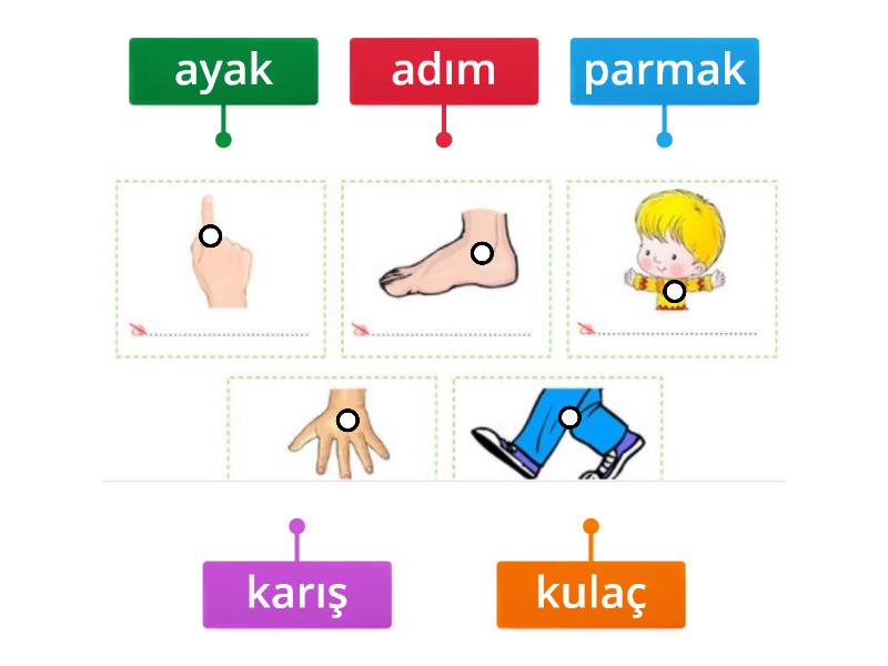 Standart Olmayan Uzunluk L Leri Labelled Diagram