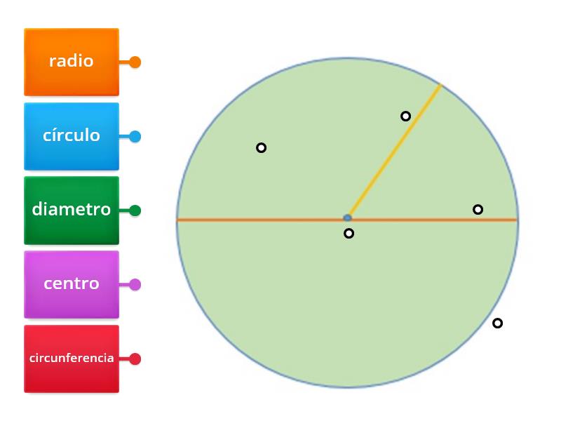 Partes De La Circunferencia 3 3 Diagrama Con Etiquetas