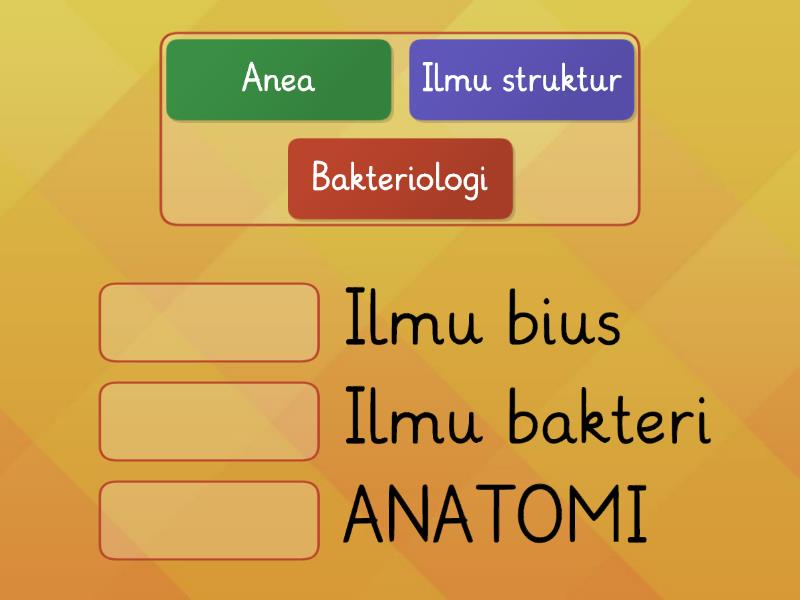 Bio Cabang Biologi X Ipa Lim Yc Match Up