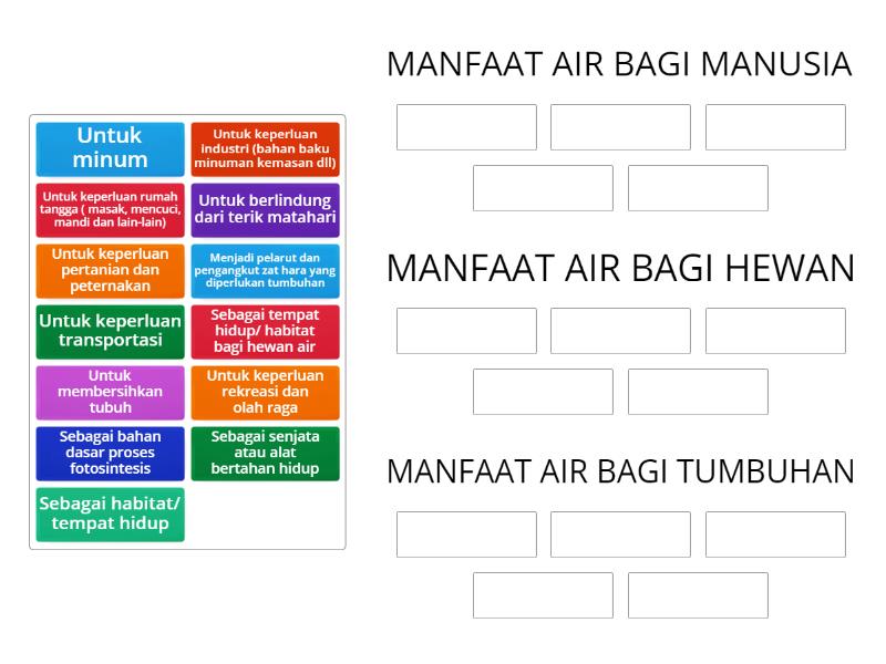 MANFAAT AIR BAGI MAKHLUK HIDUP Group Sort