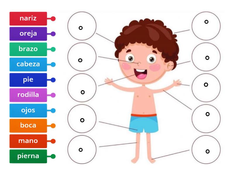 Las Partes Del Cuerpo Labelled Diagram