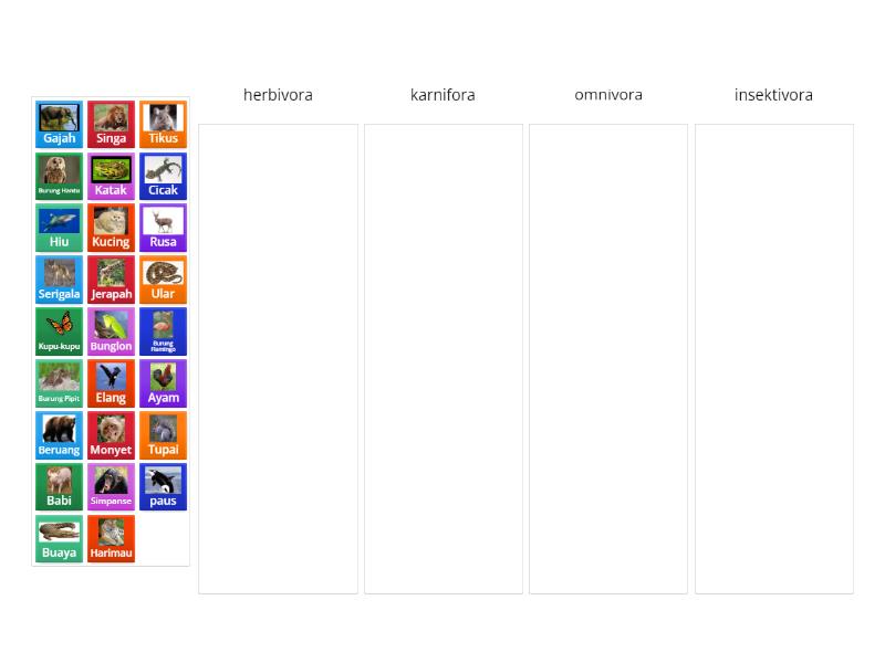 Klasifikasi Hewan Berdasarkan Jenis Makanannya Categorize