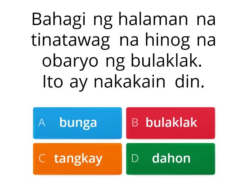 Basahin Ang Bawat Pangungusap Tungkol Sa Mga Bahagi Ng Halaman Piliin