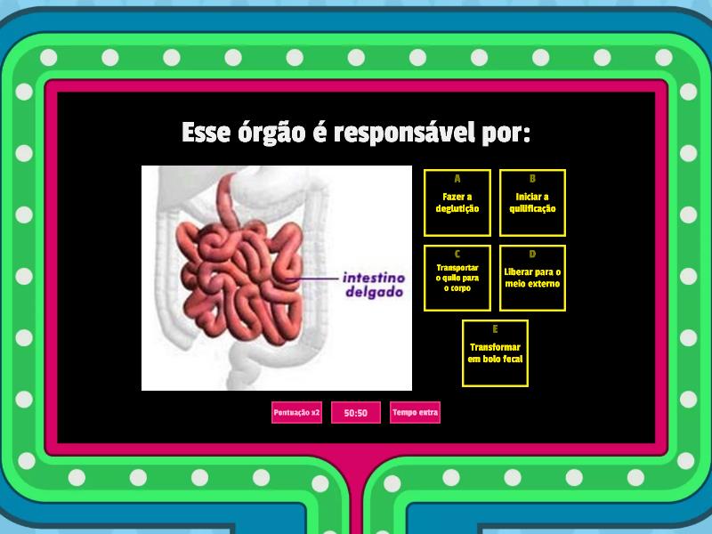 Sistema Digestivo Gameshow Quiz