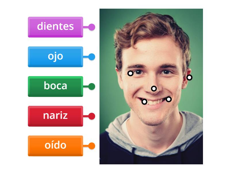 Partes De La Cara Labelled Diagram