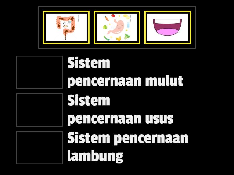 Sistem Pencernaan Match Up