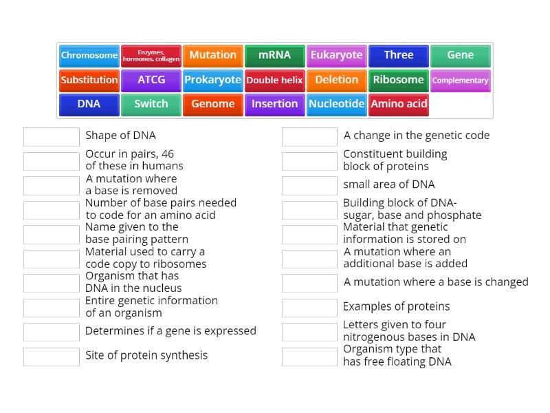 Ffynone House Aqa Biology Dna And Protein Synthesis Definitions