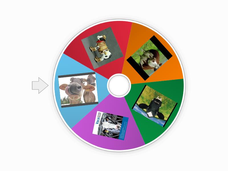 Historias Vacunas Spin The Wheel