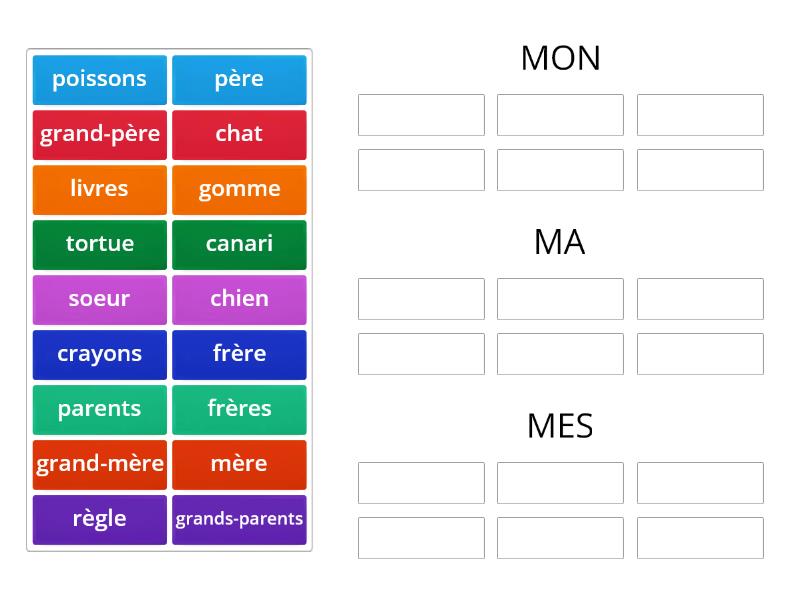 Adjectifs possessifs mon ma mes فرز المجموعات