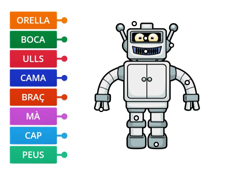 Parts Del Cos Diagrama Con Etiquetas