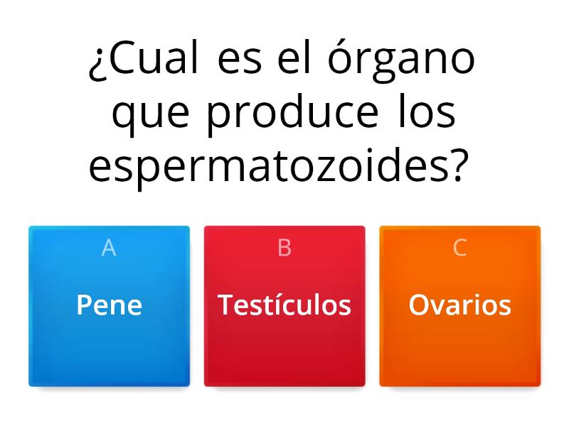 Aparato Reproductor Masculino Cuestionario