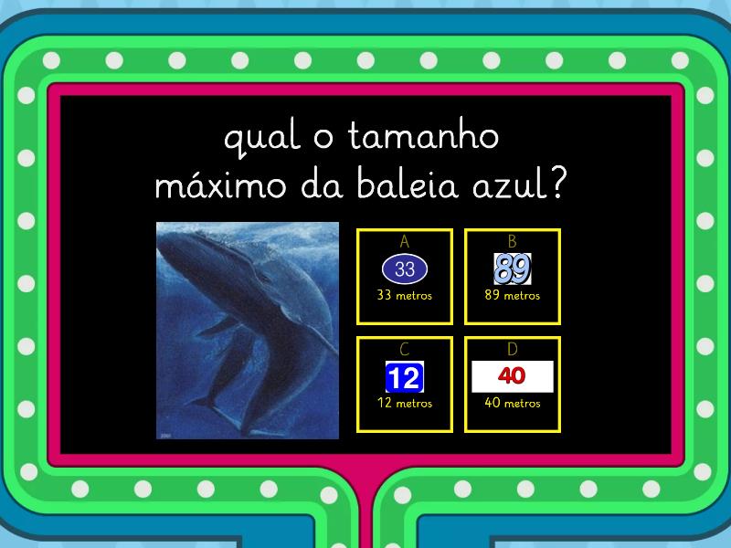 Curiosidades Sobre Baleias Gameshow Quiz