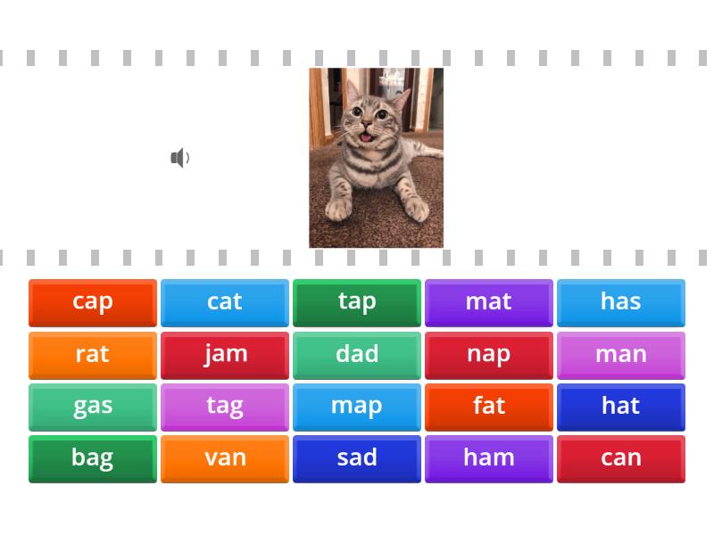 Phonic A Beginner Find The Match