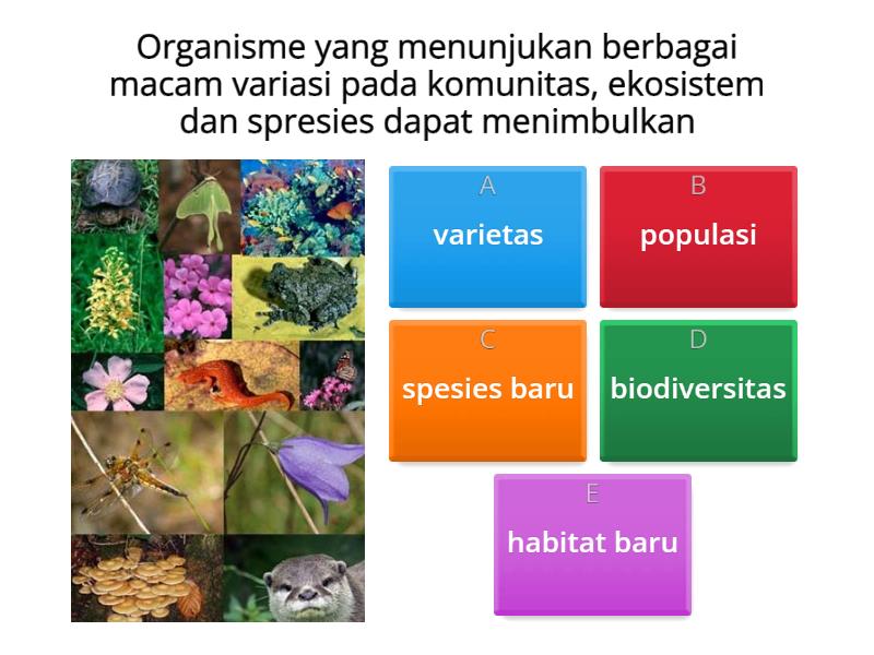 Biologi Keanekaragaman Hayati Quiz