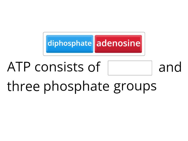 Distinguish The Structure And Functions Of ATP Complete The Sentence