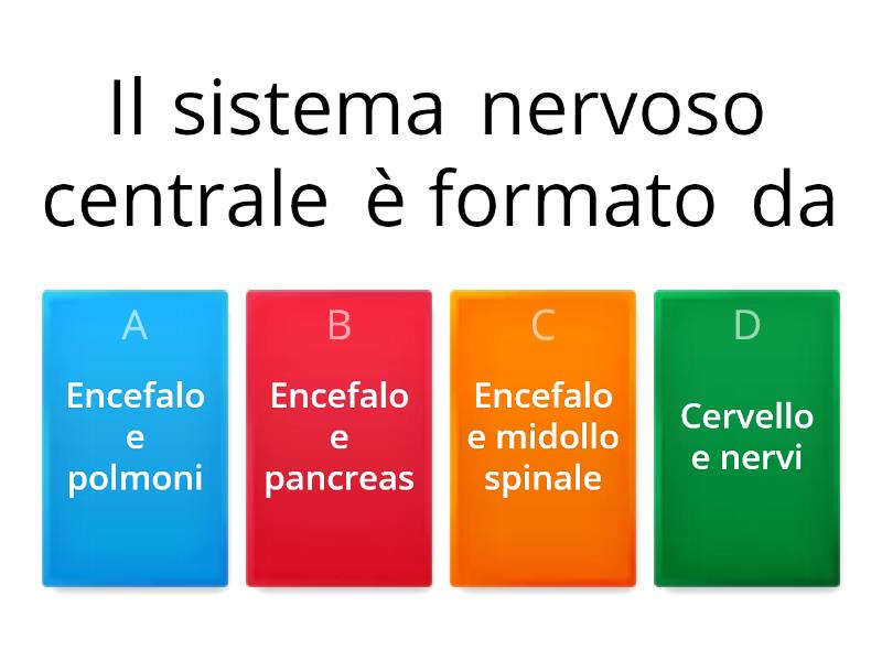 Sistema Nervoso Centrale Quiz