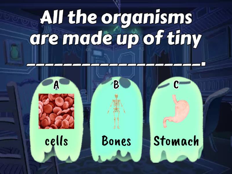 Skeletal Muscular And Nervous System Quiz