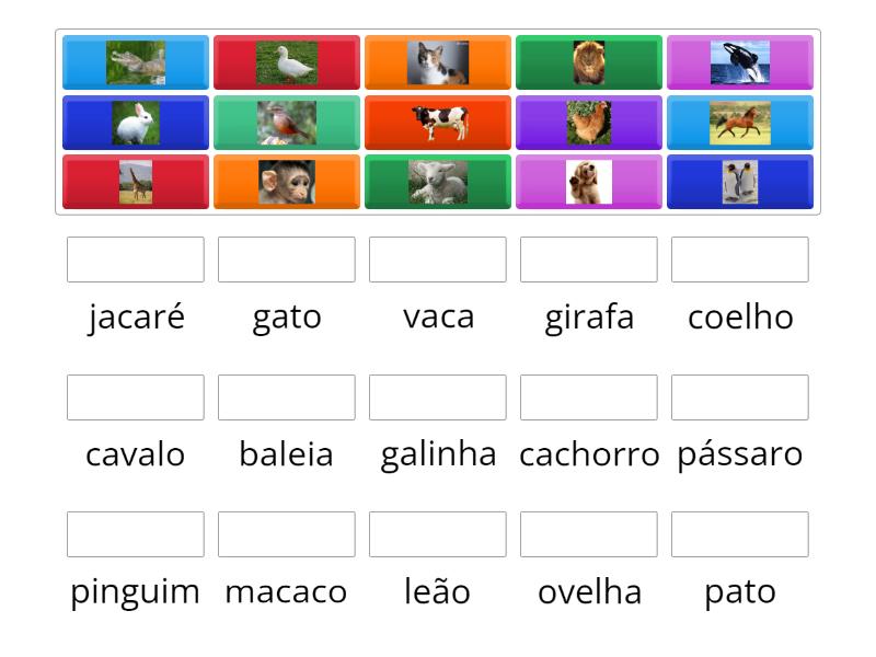 Relacione Os Nomes Dos Animais Match Up