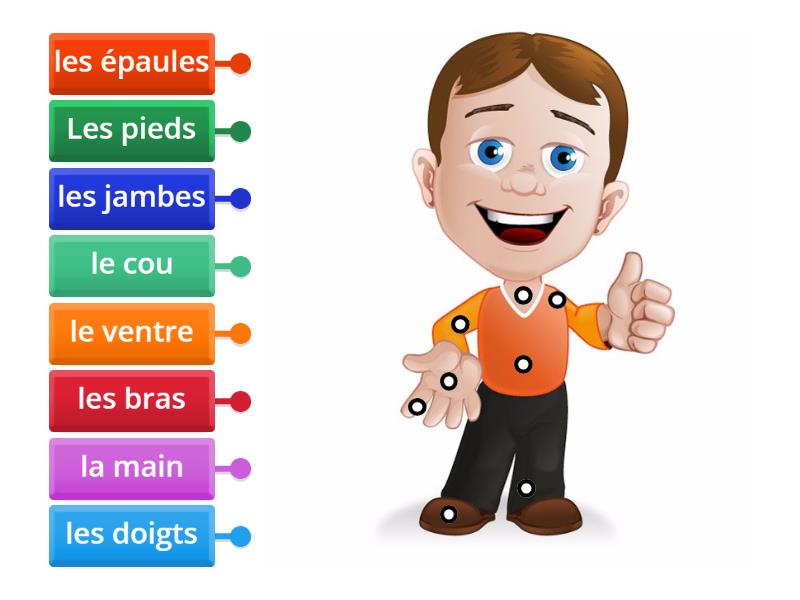 Les Parties Du Corps Labelled Diagram