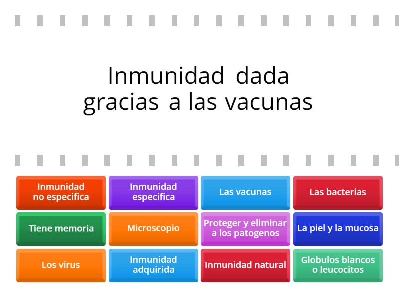 Sistema Inmunologico Y Microbiologia Cada Oveja Con Su Pareja