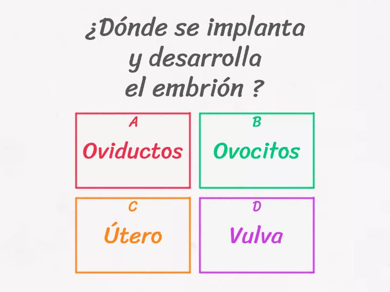 Sistema Reproductor Femenino Quiz