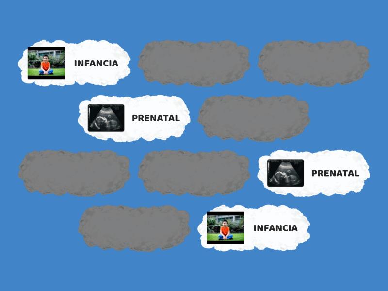 Etapas Del Desarrollo Matching Pairs