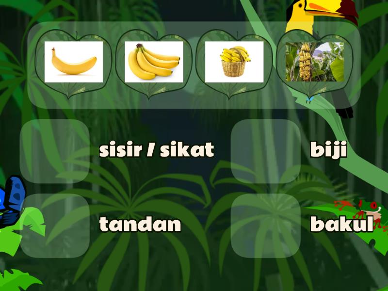 Penjodoh Bilangan Pisang Match Up