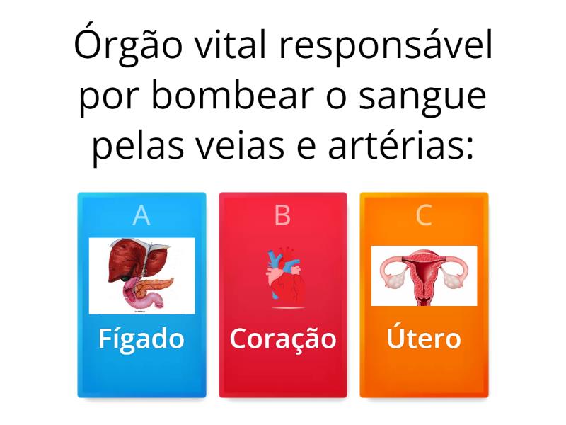 Jogo Wordwall Sobre O Corpo Humano Responda Quiz