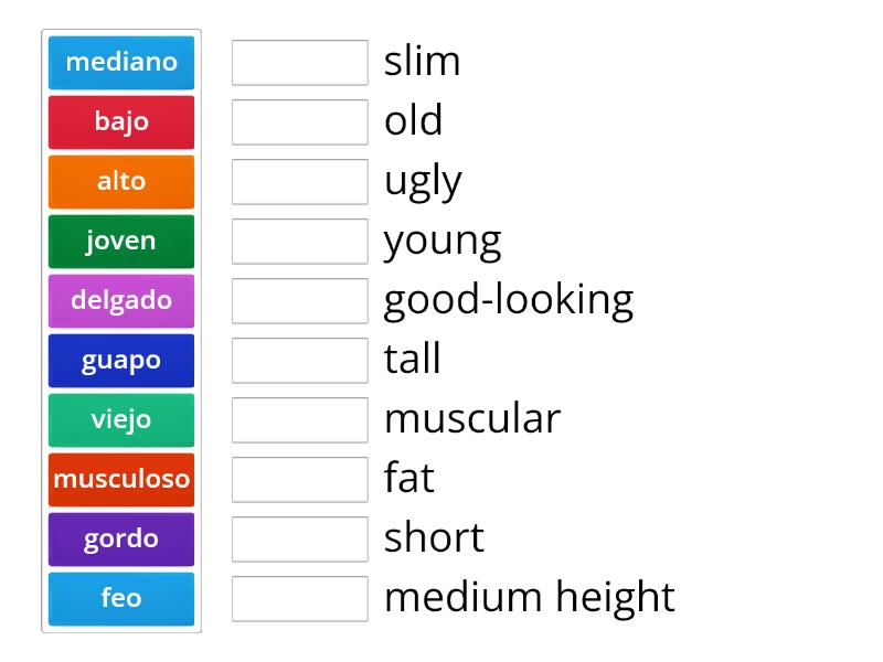 Las Descripciones F Sicas Match Up