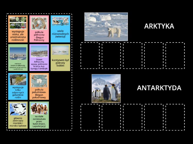 Arktyka I Antarktyda Posortuj