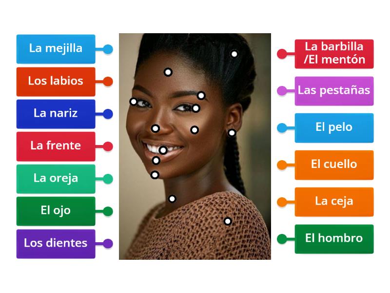 Partes De La Cara Labelled Diagram