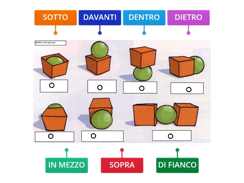 Maestra Sara Concetti Topologici 2 Diagrama Con Etiquetas