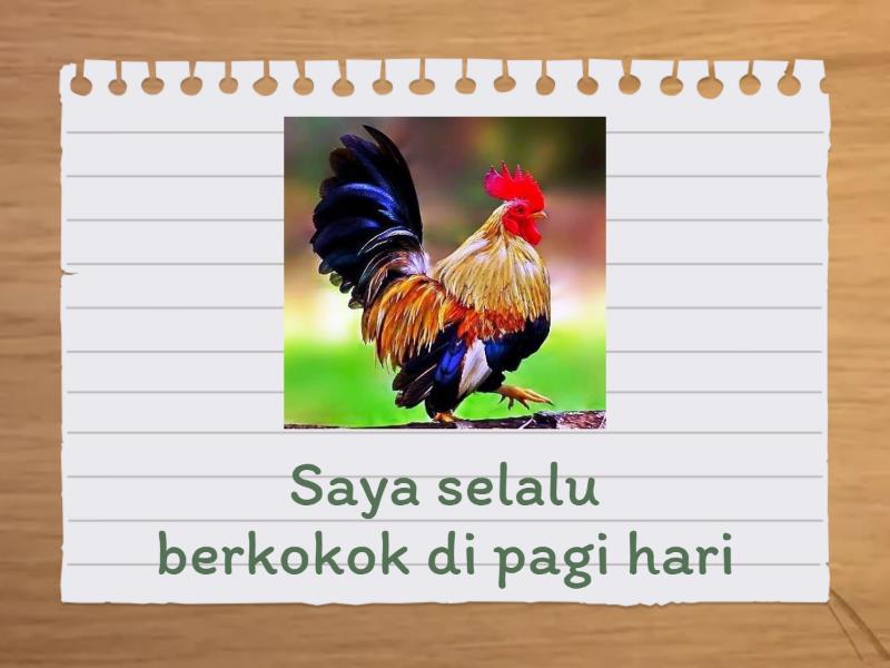 Kenali Contoh Contoh Haiwan Flash Cards